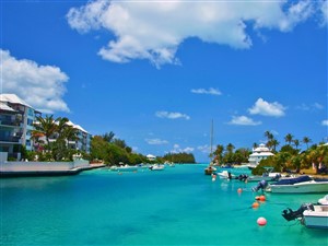 Bermuda Cruise