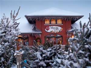 Winter Escapes Bus Tours From Ontario Great Canadian Holidays Coaches