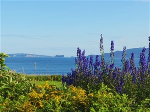 Gaspé