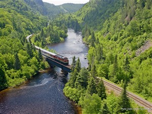 Agawa Canyon: Group of Seven