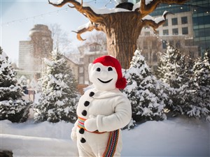 Quebec City's Winter Carnival