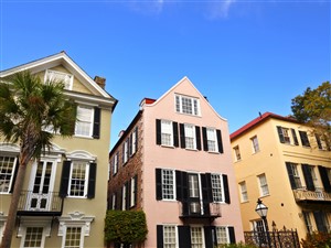 Graceful South