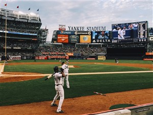 Blue Jays in New York