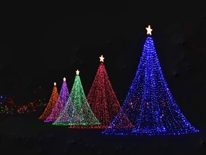 Niagara Festival of Lights & Floral Showhouse