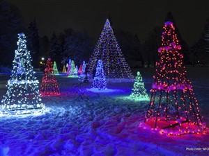 Niagara Falls Winter Festival of Lights and Winery