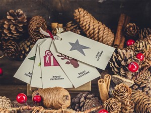 One of a Kind Christmas Show