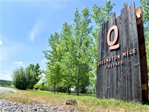 Niagara Wine & Cheese 