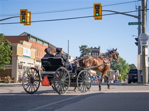 St. Jacobs and Mennonite Country