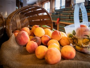 Winona Peach Festival