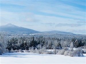 Christmas in Kingston & the Eastern Townships
