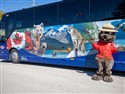 Corporal Mackenzie, mascot of Great Canadian Holidays & Coaches